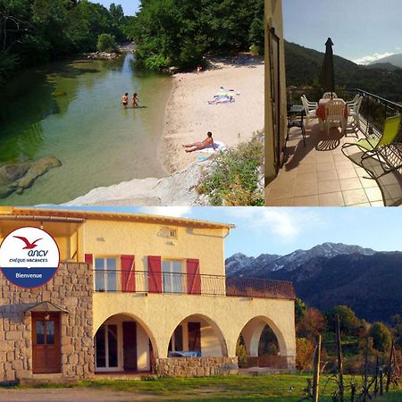 95M2 Au Calme A 25Mn Ajaccio, Plages, Linge Inclus Parking Ok Ucciani Экстерьер фото