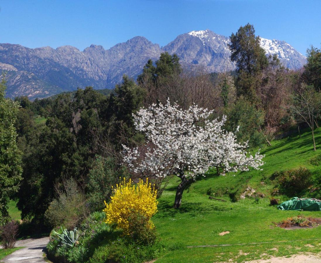95M2 Au Calme A 25Mn Ajaccio, Plages, Linge Inclus Parking Ok Ucciani Экстерьер фото