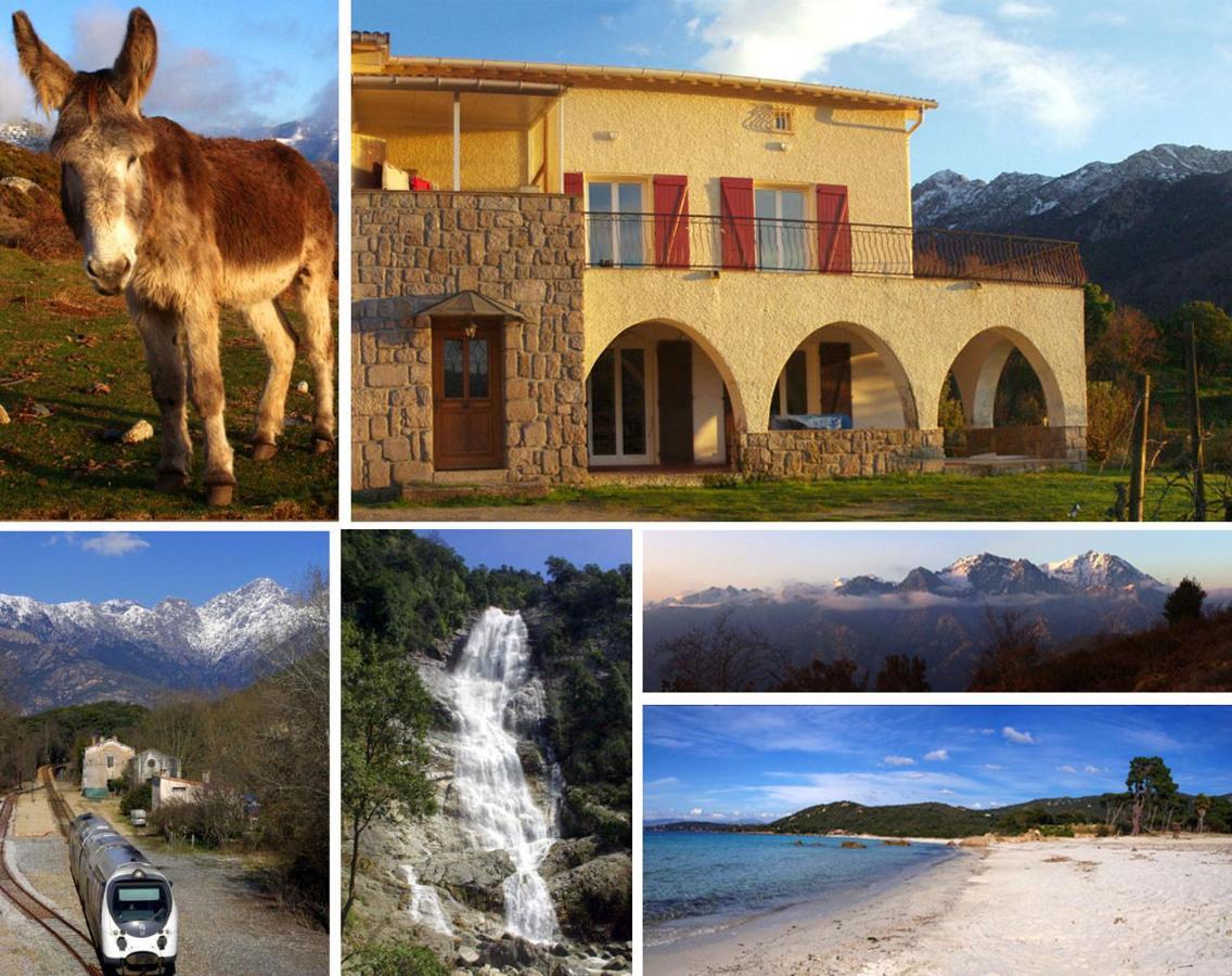 95M2 Au Calme A 25Mn Ajaccio, Plages, Linge Inclus Parking Ok Ucciani Экстерьер фото