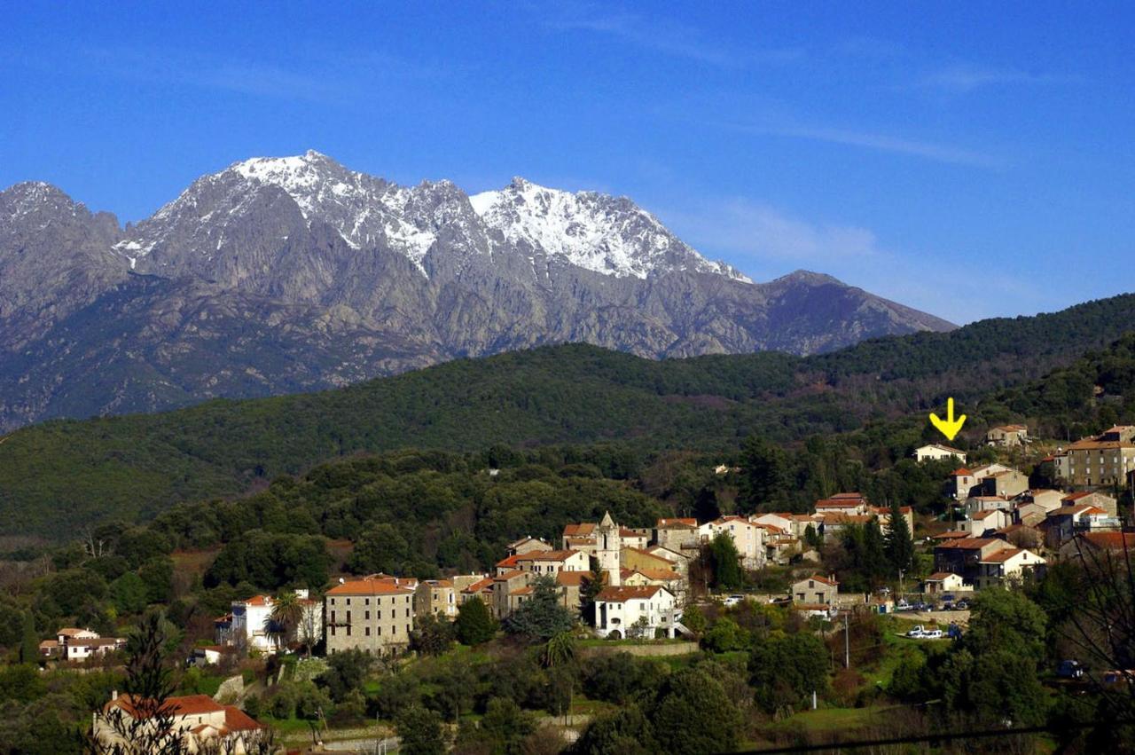 95M2 Au Calme A 25Mn Ajaccio, Plages, Linge Inclus Parking Ok Ucciani Экстерьер фото