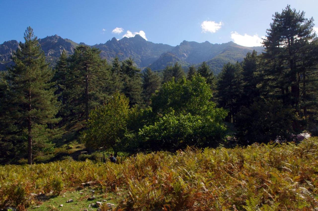 95M2 Au Calme A 25Mn Ajaccio, Plages, Linge Inclus Parking Ok Ucciani Экстерьер фото